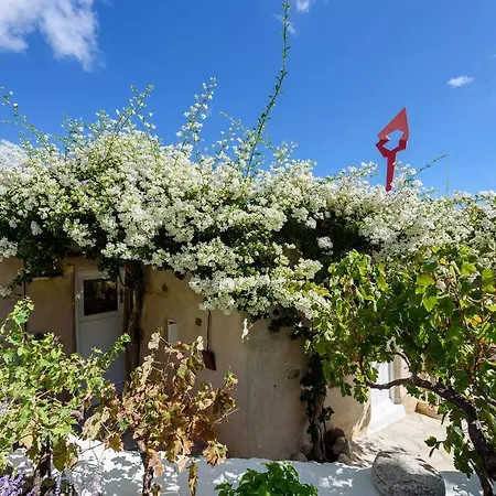 The Olive Mill Guest House Lefkes  Exterior foto