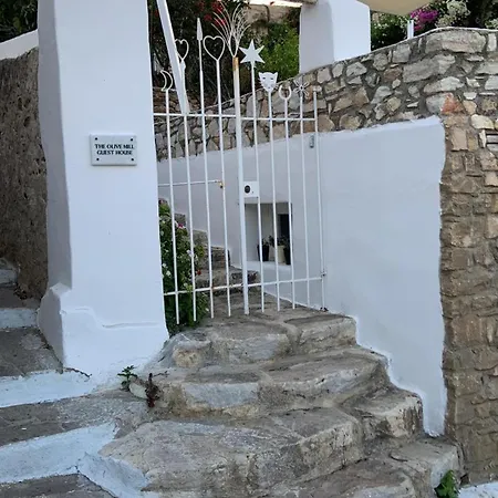 The Olive Mill Guest House Lefkes  Exterior foto