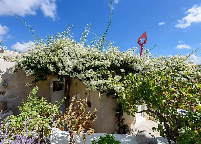 The Olive Mill Guest House
