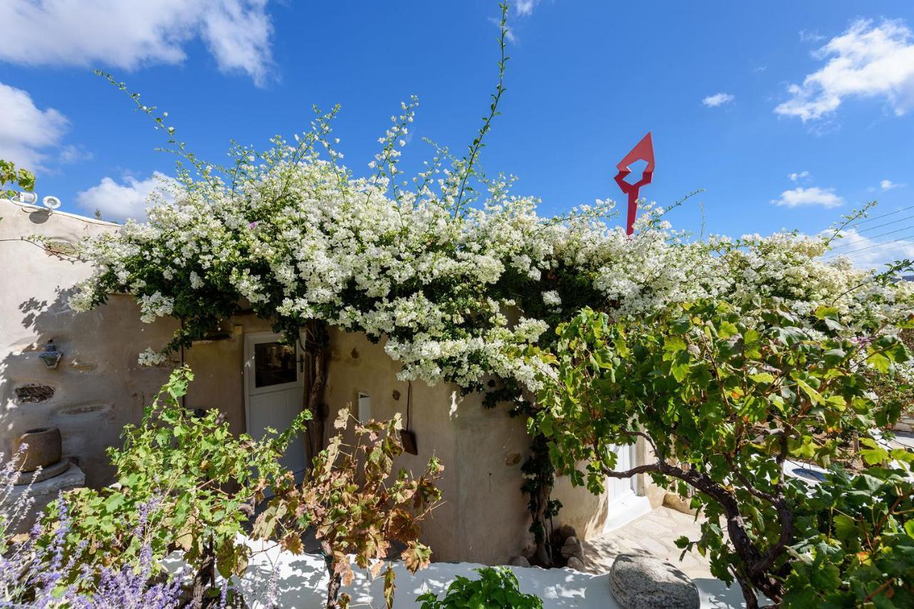 The Olive Mill *